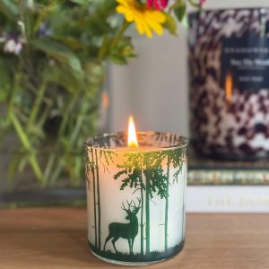 NEW ~ Autumn/Winter Candle